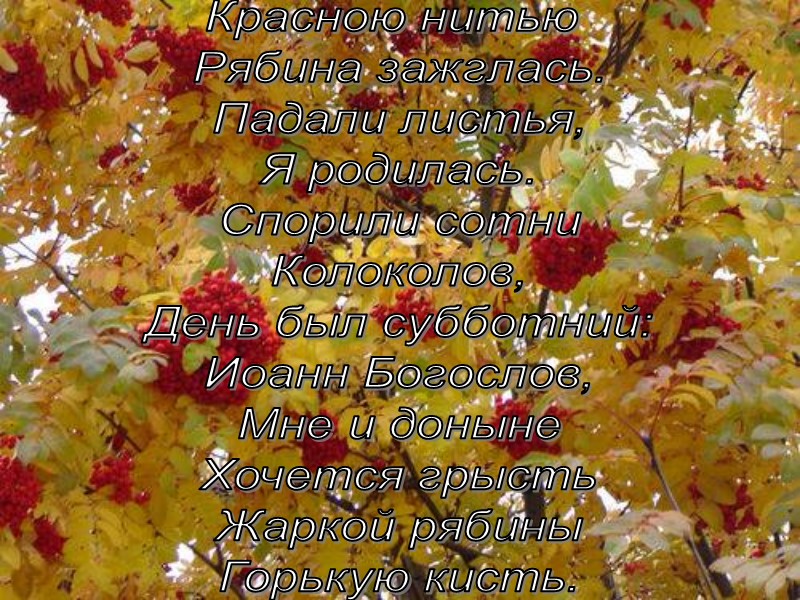 Красною нитью  Рябина зажглась. Падали листья, Я родилась. Спорили сотни Колоколов, День был